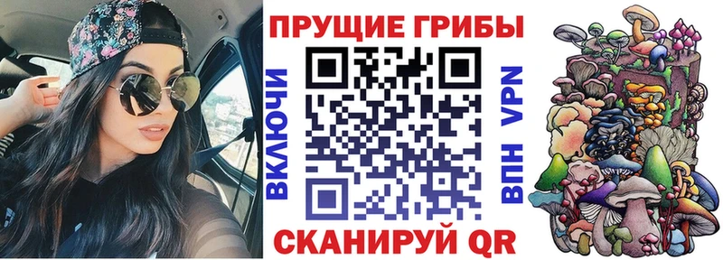 Псилоцибиновые грибы мухоморы  гидра маркетплейс  Озёры 